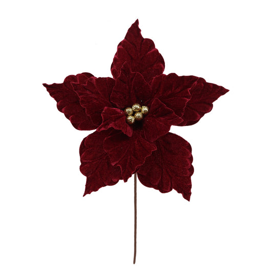 POINSETIA 11P 30X30CM BORGONA