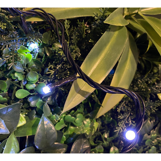 JG 100 LUCES LED 110V (MULTI)
