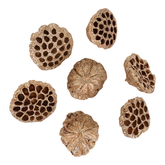 JG SEMILLAS DECOR 7PZ 7X5X9CM