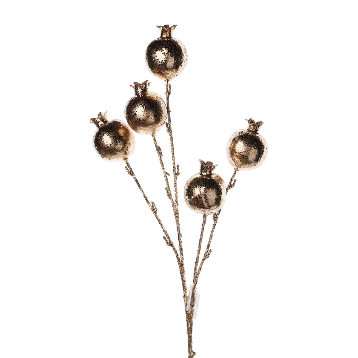 RAMAS X62CM
