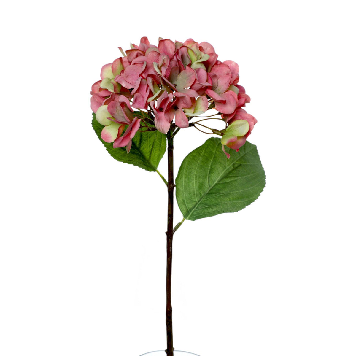 HORTENSIA DECOR 25X15X48.3CM