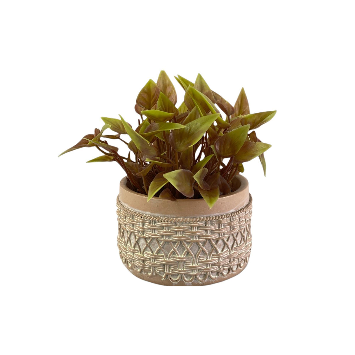 PLANTA C/POTE 11X11X15CM