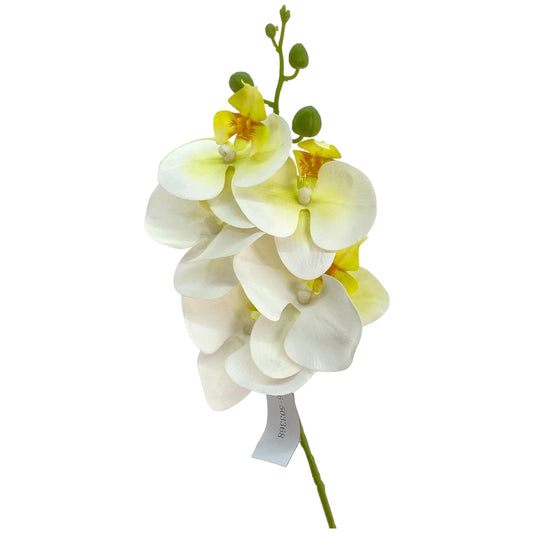RAMO ORQUIDEA DECOR X15X67CM
