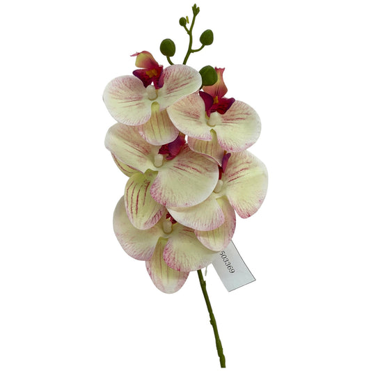 RAMO ORQUIDEA DECOR X15X67CM
