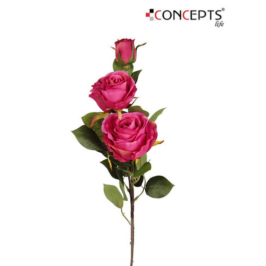ROSA ART.
