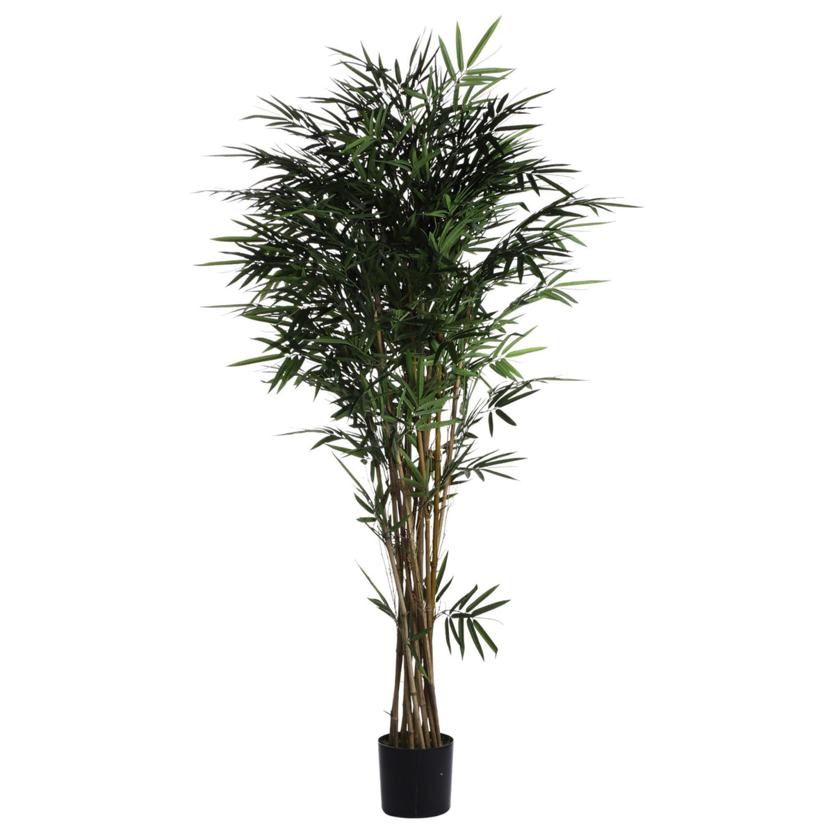 BAMBU C/POTE 45X45X180CM